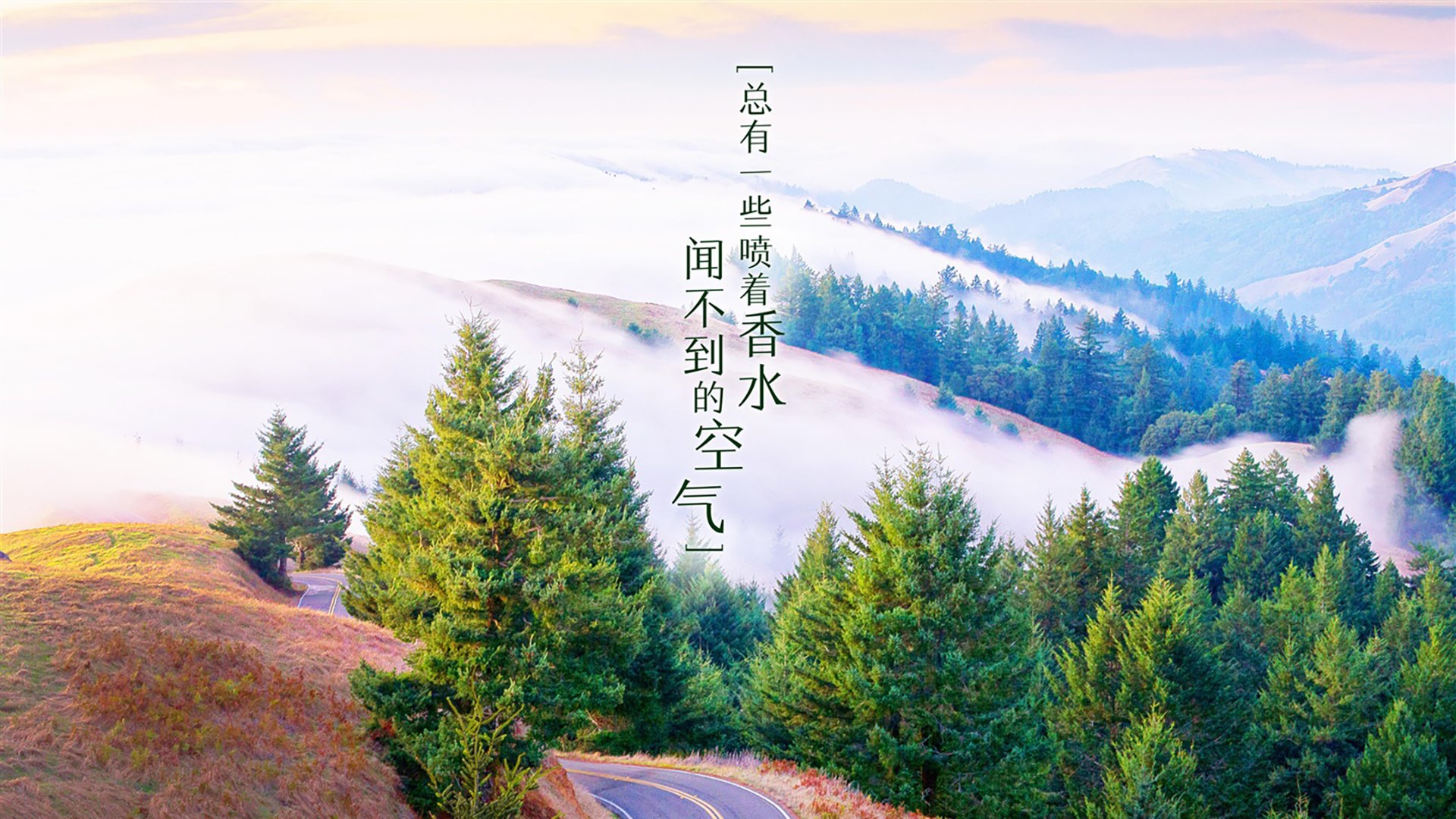 女性电竞新星崛起，打破偏见引领多样性发展，女性电竞第一人