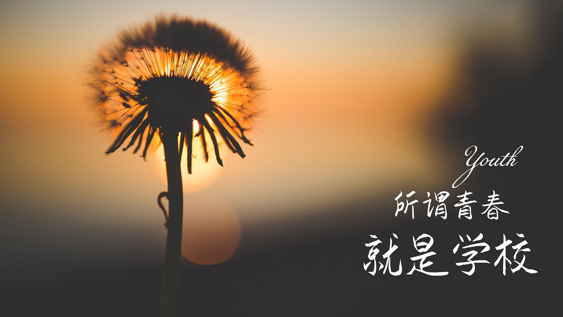 失误成败症：上海队失误高达20次，错失反超良机！